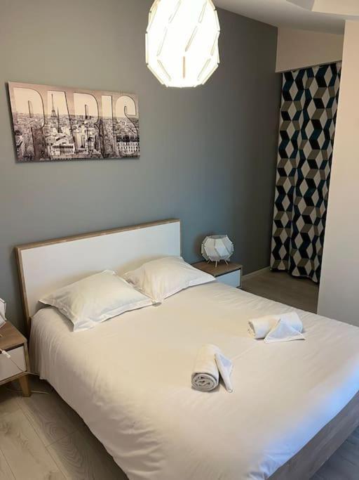 Le Paris Eiffel - Appartement Cosy En Plein Centre Bourgoin-Jallieu Eksteriør bilde