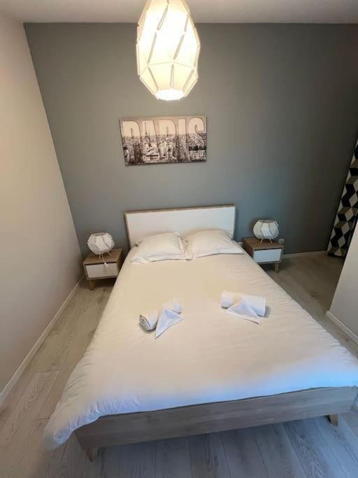 Le Paris Eiffel - Appartement Cosy En Plein Centre Bourgoin-Jallieu Eksteriør bilde